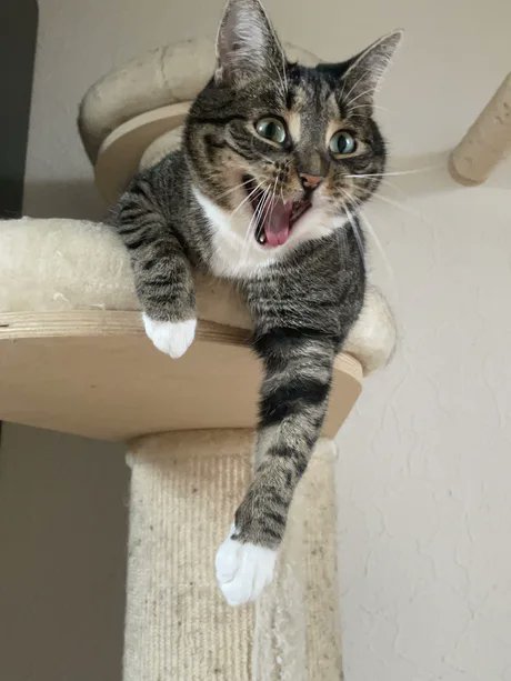 If you realize thats tomorrow is Monday...