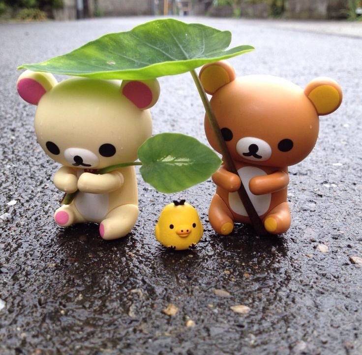 1oveS22's tweet image. 💧