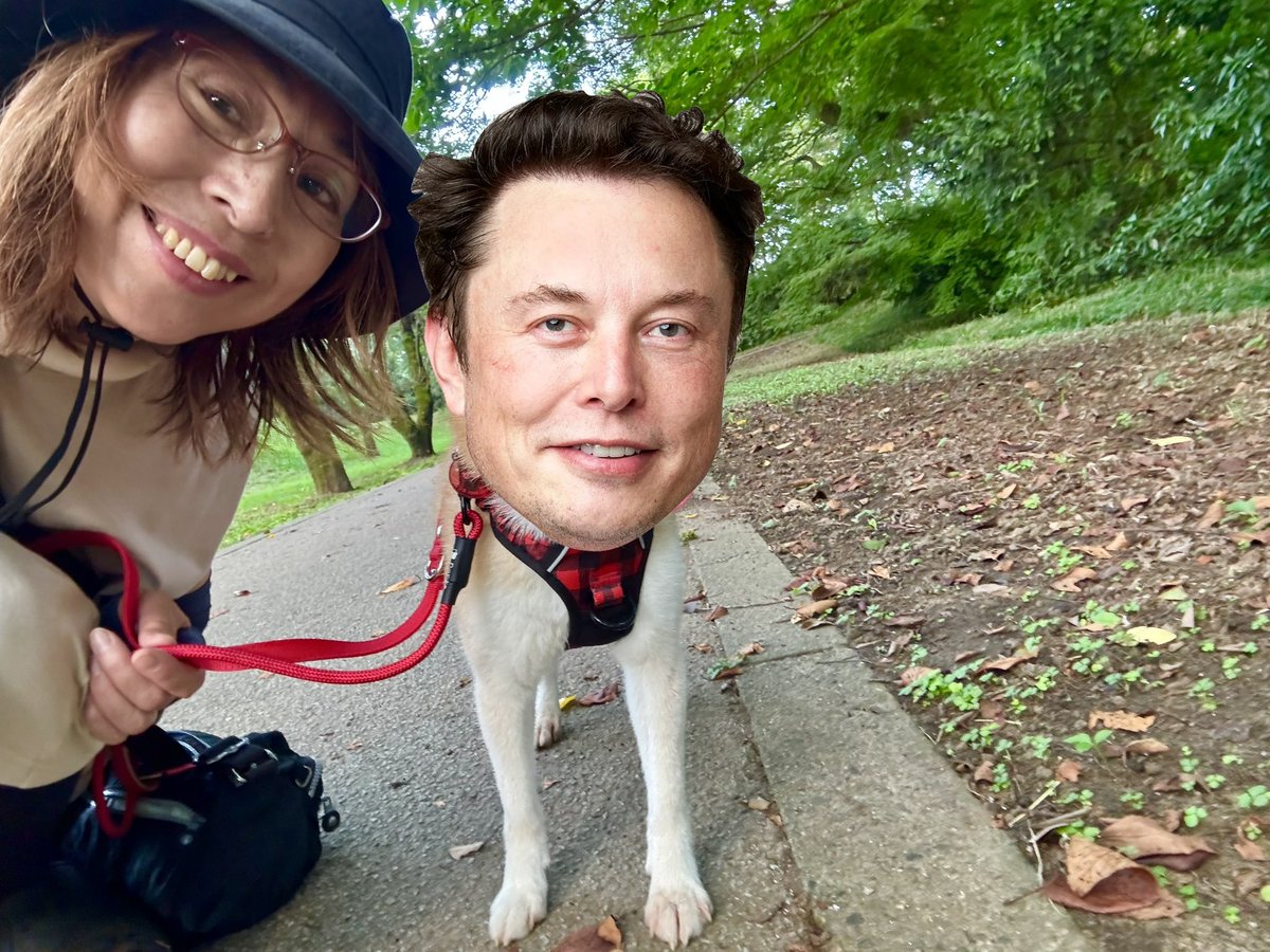 NeiroMusk's tweet photo. Neiro Musk (ticker: Neiro) Kabosu is dead, long live for neiro!! Neiro + Musk = Moon.  J9LsvWFwRsBR6Qic45tFPZJR5AibaBya8txFo8ynpump
@pumpdotfun

$Neiro https://t.co/GT0NPijKqn