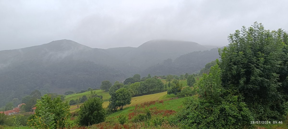 XuanNelGonzali's tweet image. Otru di más de branu astur... 😎
#veranu #verañu #summer #verqno #été #verão