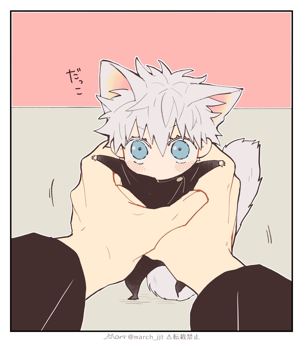 ま🐾 tweet media