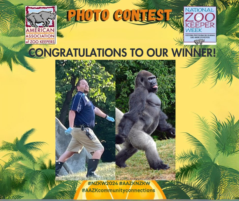 AAZK (@aazkinc) on Twitter photo Congratulations to our Keepers As Animals Photo Contest winner! Thanks to all who participated! We hope you had a wonderful #NZKW2024 Congratulations to our Keepers As Animals Photo Contest winner! Thanks to all who participated! We hope you had a wonderful #NZKW2024
