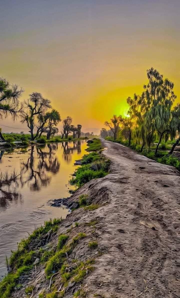 میرے گاؤں کی بھیگی ہوئی حسین سڑکوں پر تیرا میسر نہ ہونا بہت اُداس کرتا ہے۔۔!!!🤍