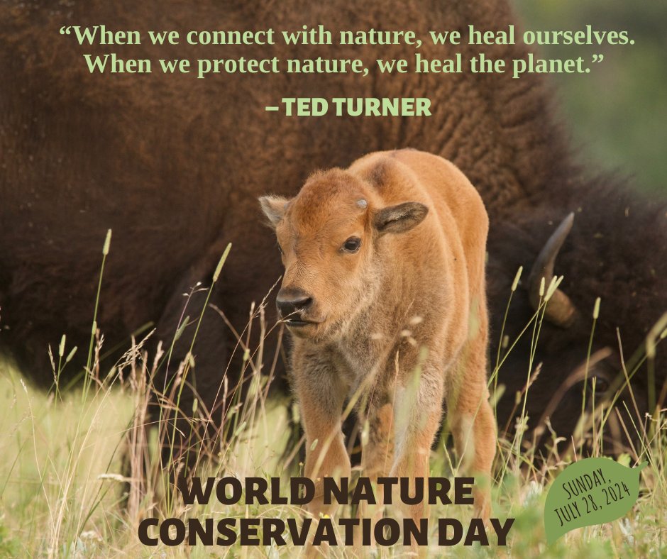 #WorldNatureConservationDay. Let’s take a moment to reflect on the actions we can take to protect our planet. At Turner Enterprises we demonstrate how stewardship is consistent w/the management philosophy of our ranches &amp; properties. tedturner.com
Photo: Holly Pippel