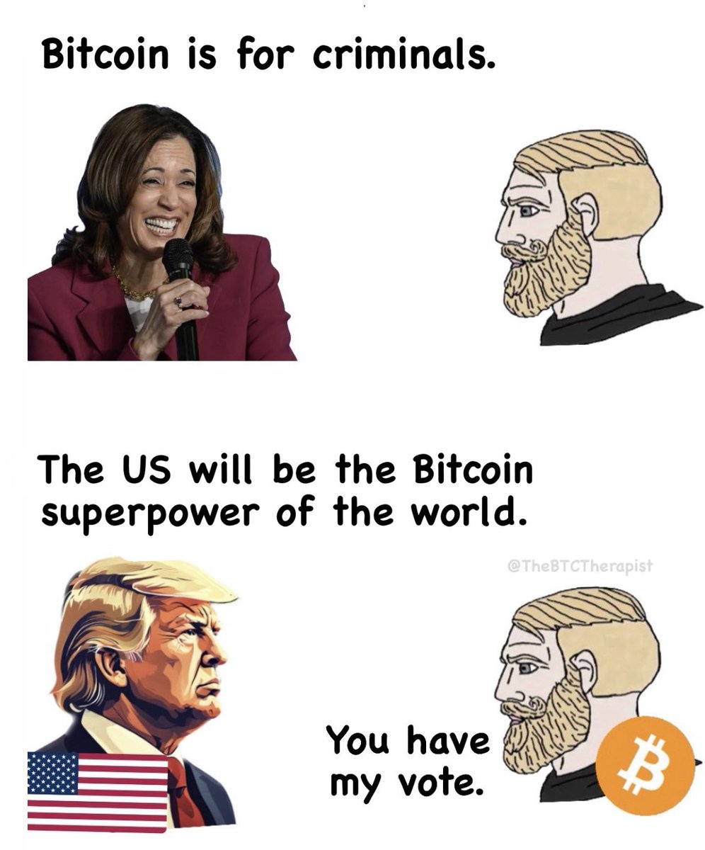 The ₿itcoin Therapist tweet media