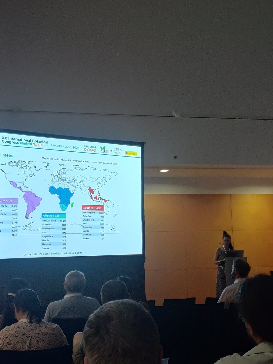 Irvilma's tweet photo. It was a pleasure to attend #ibc2024 and talk about #sistematics, #phylogenomics and #biogeography of the #pantropical plant Putranjivaceae https://t.co/lpVnE75MKu