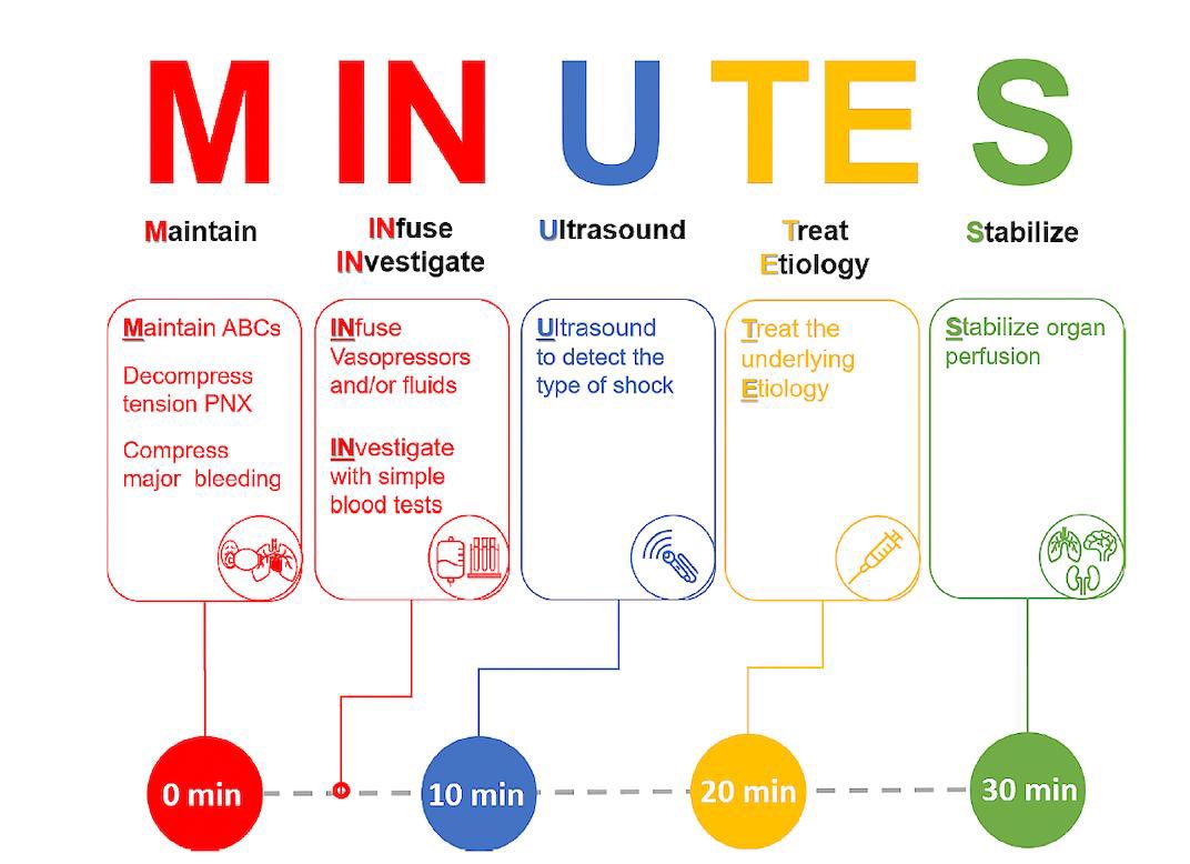 Sheila Myatra (@sheilamyatra) on Twitter photo Acute circulatory shock is a life threatening emergency requiring timely intervention and management. Happy to present the MINUTES bundle proposed for the initial management of undifferentiated circulatory shock. <a href="/KhannaAshishCCM/">Ashish K. Khanna, MD,MS,FCCP,FCCM,FASA</a> <a href="/MarcLeone8/">Marc Leone</a> <a href="/criticcaredoc/">Jan De Waele MD</a> <a href="/isccmnational/">ISCCM</a> Acute circulatory shock is a life threatening emergency requiring timely intervention and management. Happy to present the MINUTES bundle proposed for the initial management of undifferentiated circulatory shock. <a href="/KhannaAshishCCM/">Ashish K. Khanna, MD,MS,FCCP,FCCM,FASA</a> <a href="/MarcLeone8/">Marc Leone</a> <a href="/criticcaredoc/">Jan De Waele MD</a> <a href="/isccmnational/">ISCCM</a>