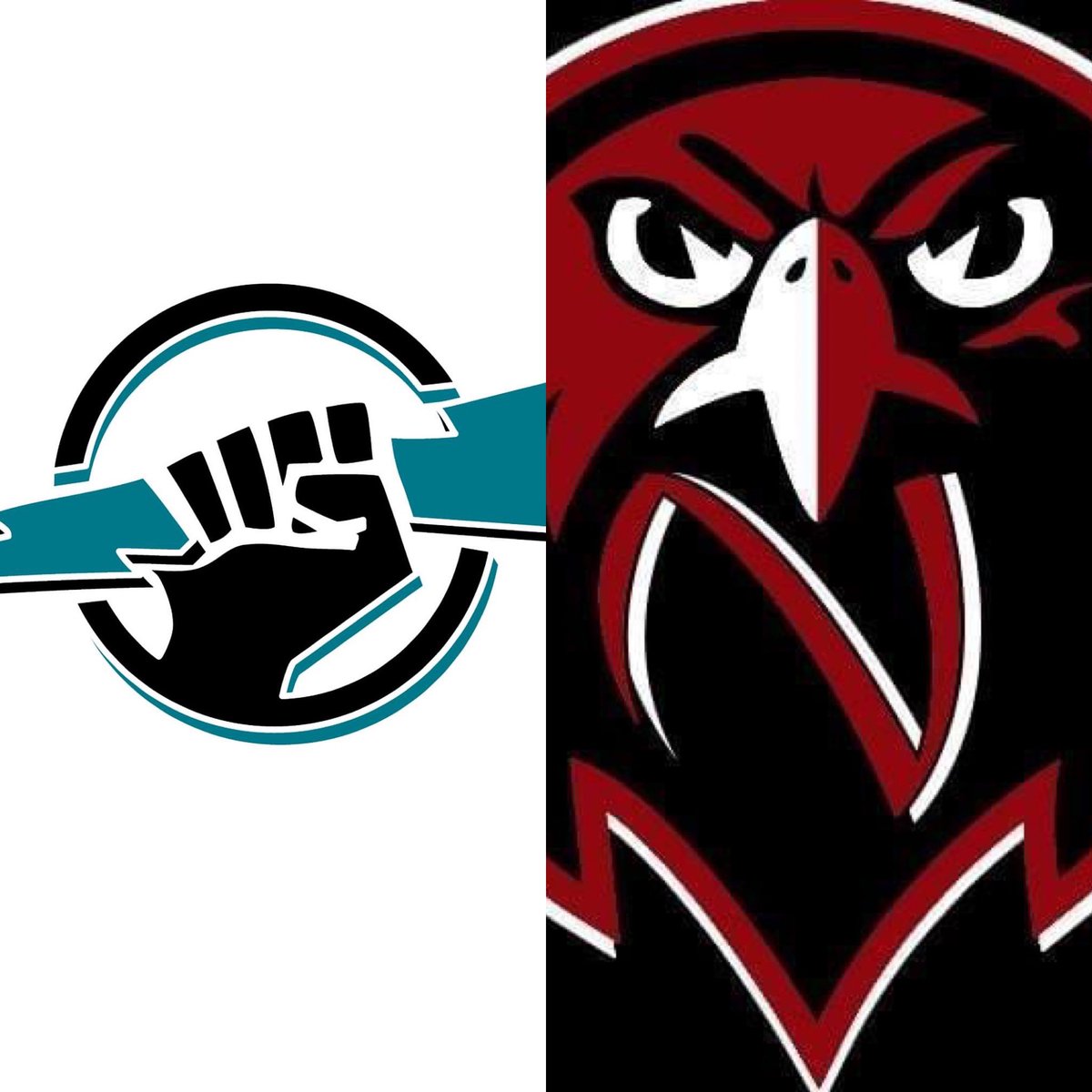 GAME 7:

⚡️ 3 - 2 🦅

#Tier3 #ballhockeyuk