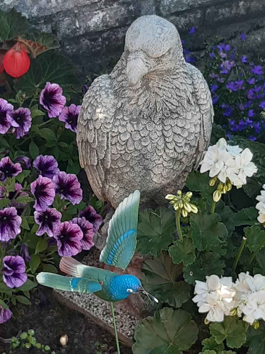 GerdaFloris's tweet photo. @celinedion @Olympics @Paris2024 I hope you can fly like a Eagle.
Good luck from.Holland https://t.co/YJpYXhFk8E