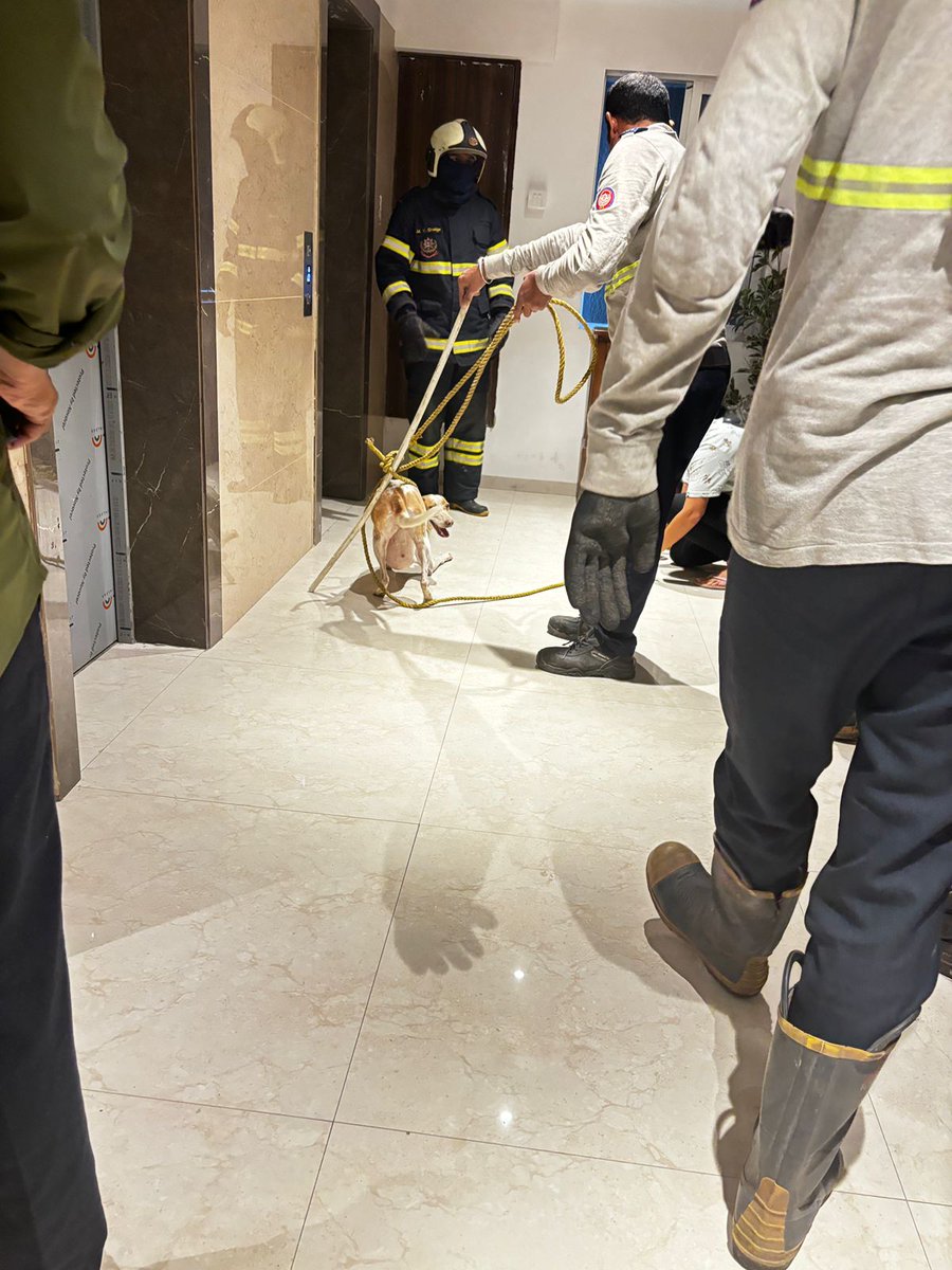 Planet for Plants & Animals (PPA INDIA) tweet media