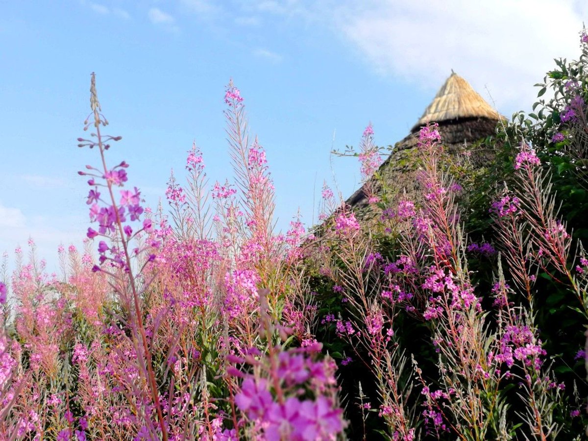 Oh those sweet summer days... There's so much we'll never know about the ancient past, but some things are universal across time and place. Spend some time enjoying the sun today, and remember -- someone 10,000 years ago did the same thing ☀️