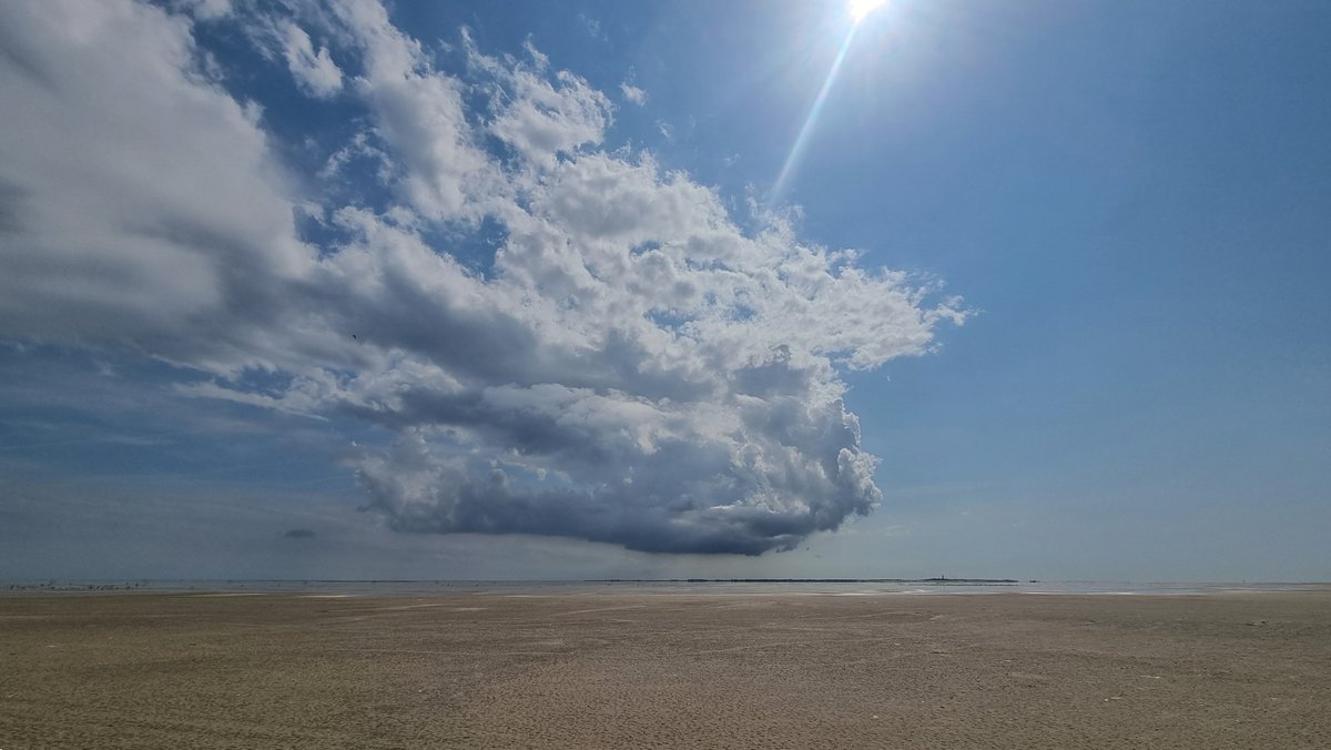 Vlieland - Vliehors - zomer 2024
Het was mooi op de Hors.
Hoger dan hoog water, honderdduuzend vogels op de hoogwatervluchtplaats op de zuidkant, prachtige wolkenluchten en verder niemand.