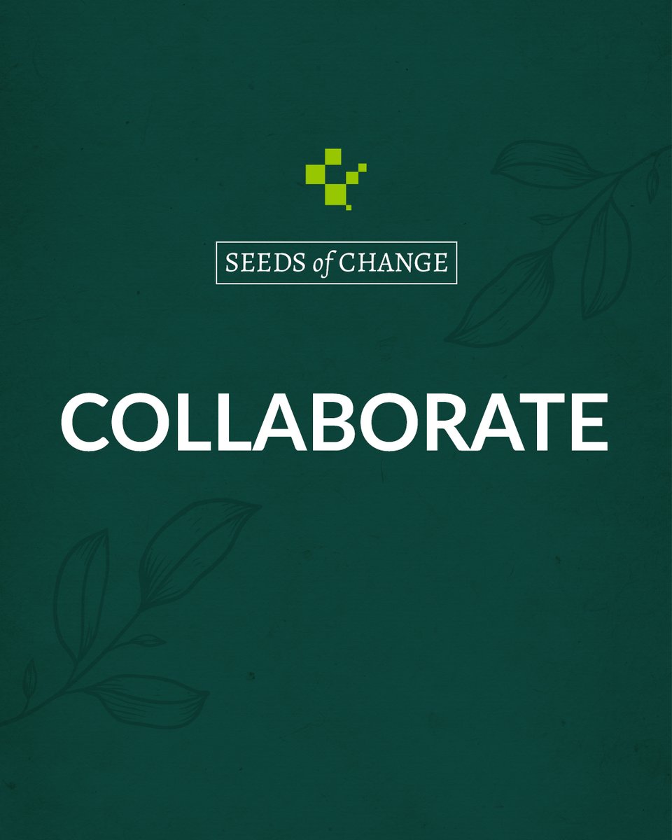 Two heads are better than one! Collaborate with other businesses or influencers to reach new audiences and boost brand awareness.

#SeedsOfChange #Collaboration #InfluencerMarketing #BrandAwareness