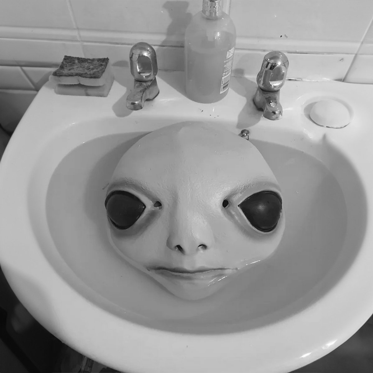 albinauriconsol's tweet photo. Reality is just a hallucination of a lie. Dig into your fantasy and find your own truth. Everythingβs an illusion, but itβs your illusion.
Mask on. π½
$albin #Albinized #sol #ELDENRING #MASKON https://t.co/zkD7mCaPQx