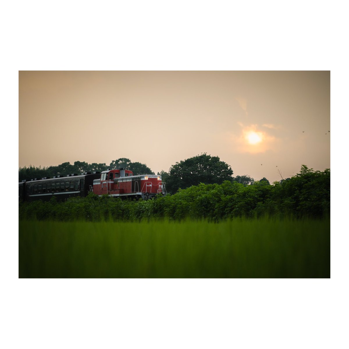 U_Q_railscape's tweet photo. 夜祭目指し夏休み列車
2024.7.27

#railscape https://t.co/s0QJAbqlFU