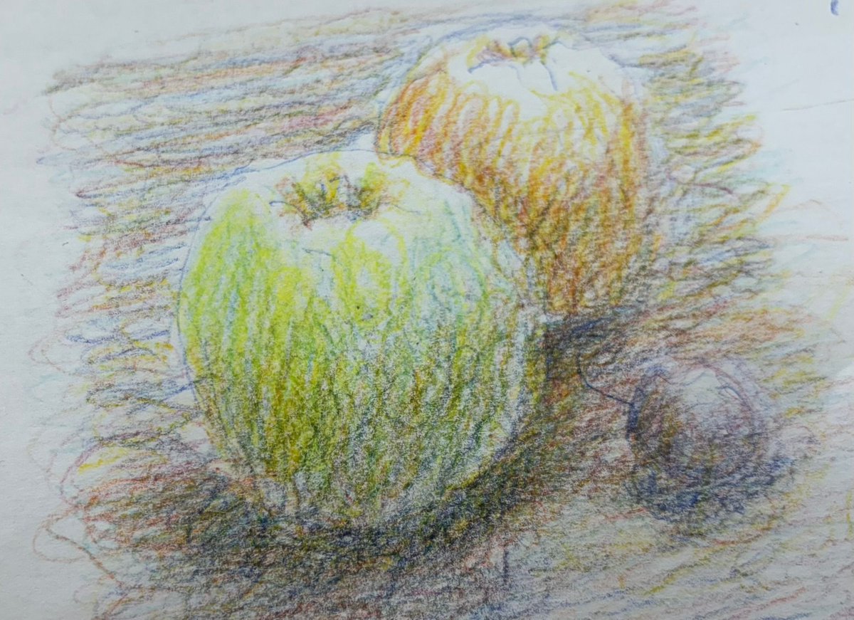 Just look at these beauties! Gorgeous still life drawings in graphite and colour, all done by our students at Richard Box's recent Drawing for the Terrified workshop. Lovely colour wheel and shading exercises to keep for posterity too - thanks to all for the lovely photos