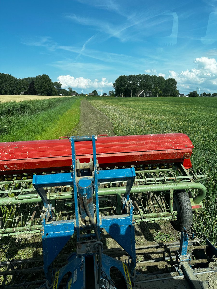De eerste koopman heeft al flink geshopt in de uien😢