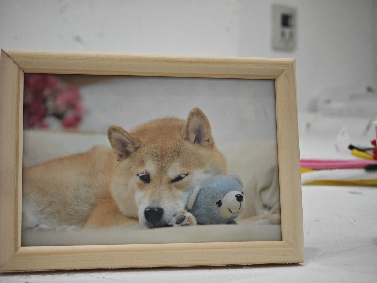 9dai_5's tweet image. #KawaiiPizza party by #PizzaDAO