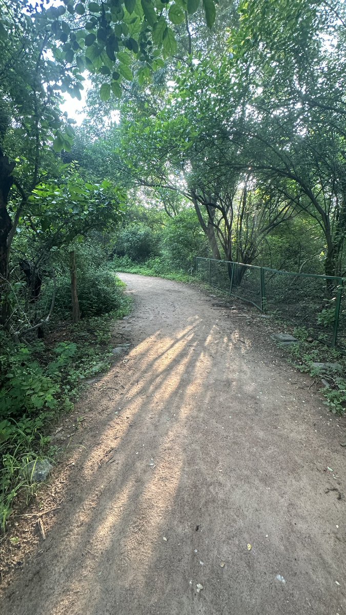 christinedelhi's tweet photo. Have you exercised today?
If you’re in Delhi (like me) you’ll understand why I pulled the plug on my run this morning after just 7k.
The humidity was off the charts insane!
No point being stupid, just to “get the miles in”.
#thisis70
#dailyexercise #run #india #delhi #summer https://t.co/xqzlJh8Z01