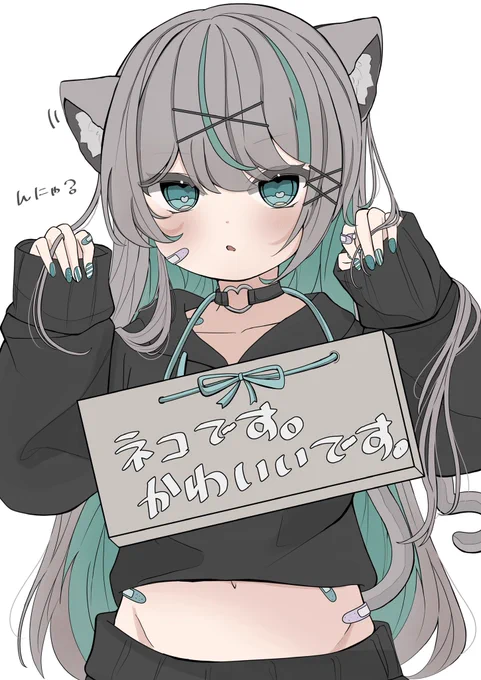拾ってほしい猫 