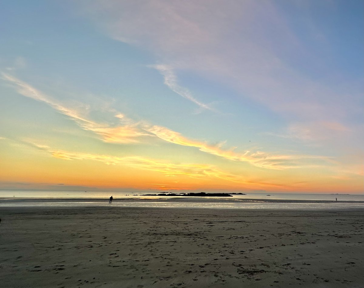 JanePaiceArt's tweet photo. Lovely end to a thoroughly enjoyable, last minute get together with good friends and their pups last night #Anglesey #SilverBay https://t.co/oxOE30tFc4