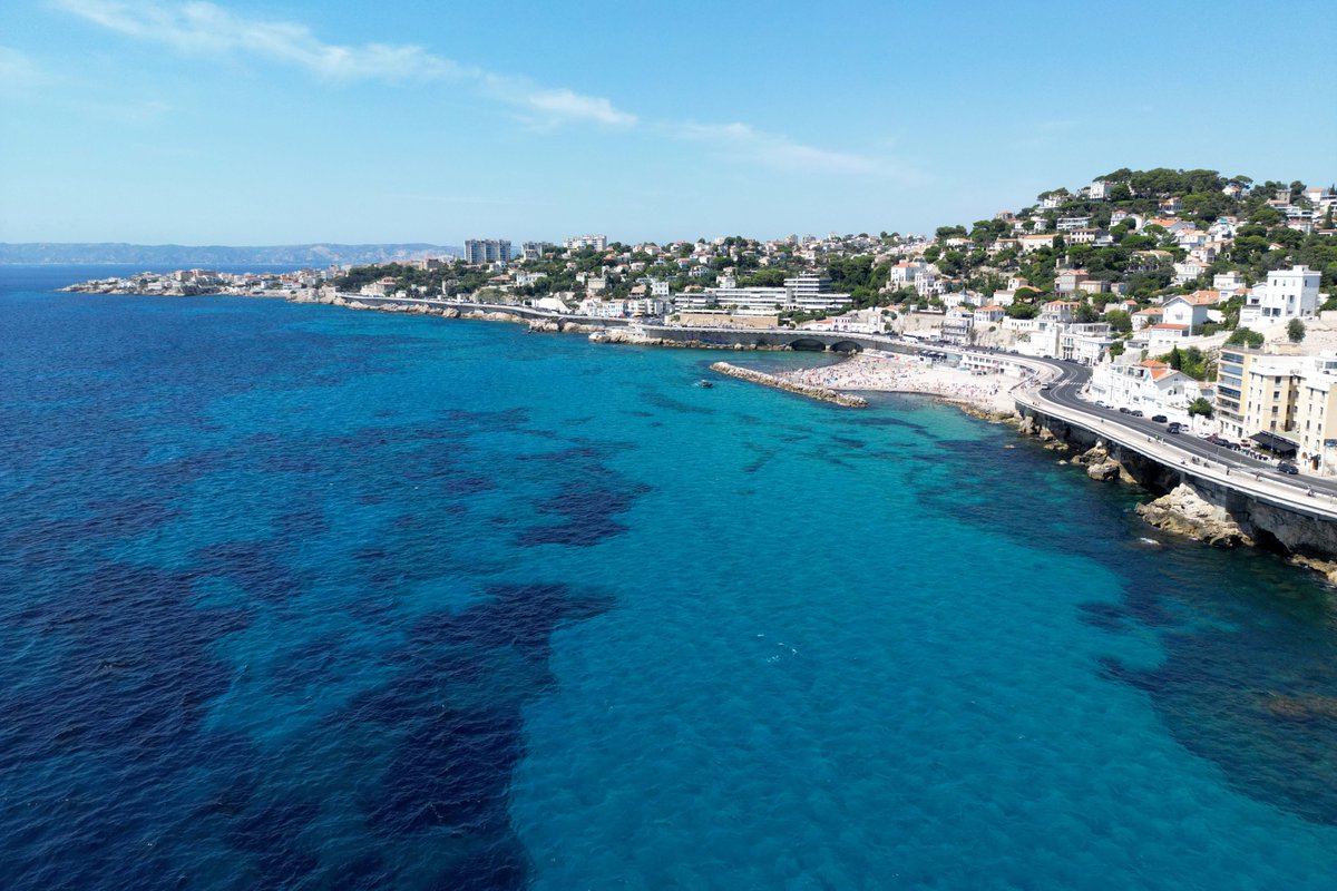 Paris 2024 tweet media