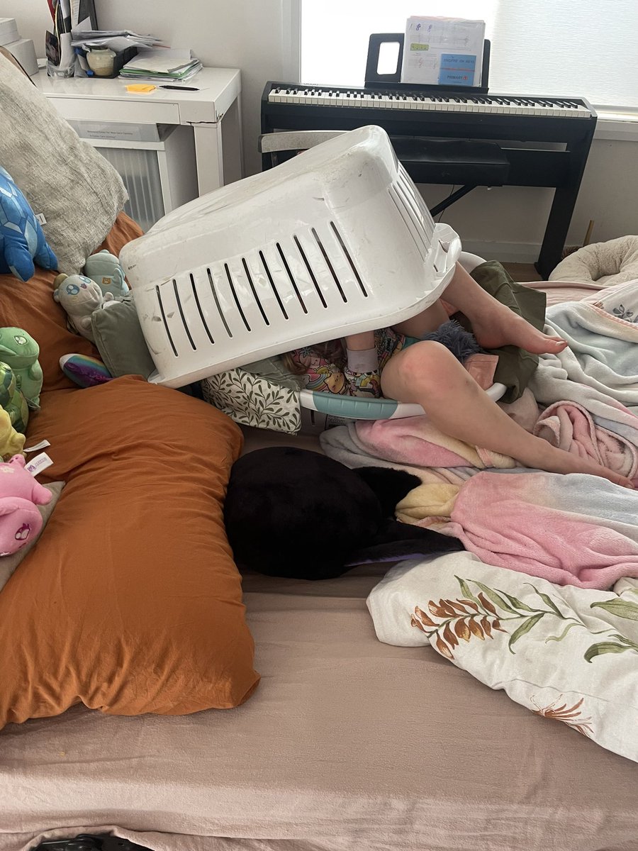 WTF is wrong with my kids?