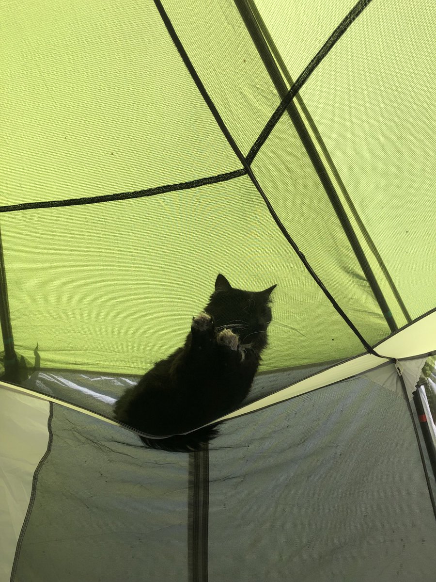 Jim Geach tweet media