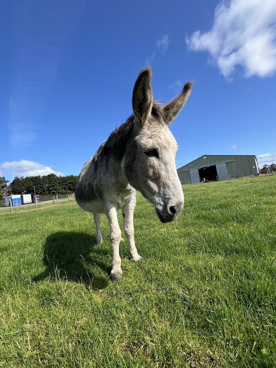 What a beautiful day.