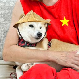 DEXSoul_io's tweet image. 🔍 New Token Activity Detected 🔍

📍 Token: #NEI LUO (0.0002059)

💎 Liquidity : $51,546

⚖️ Top 10 Holders: 20.11%

#solana #memecoins #100x

More Info: t.me/dexsoul