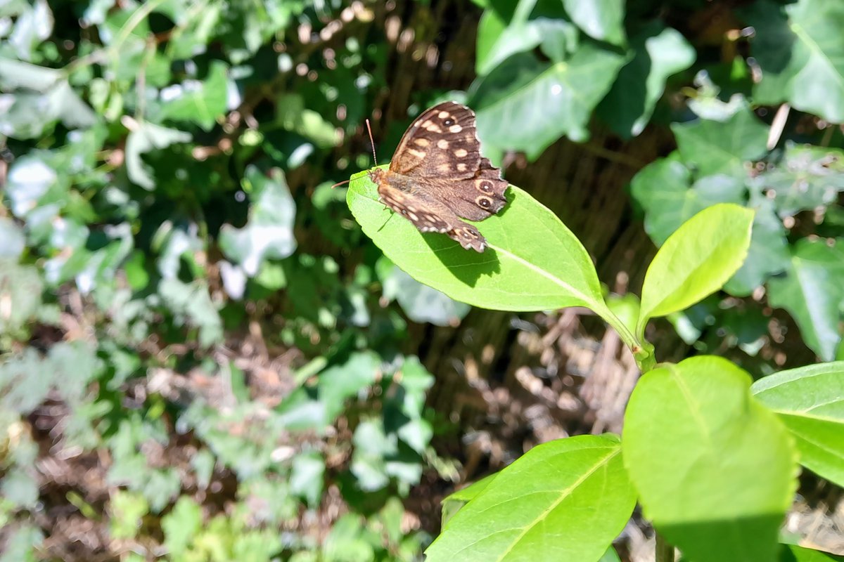 Fleur Duivis tweet media