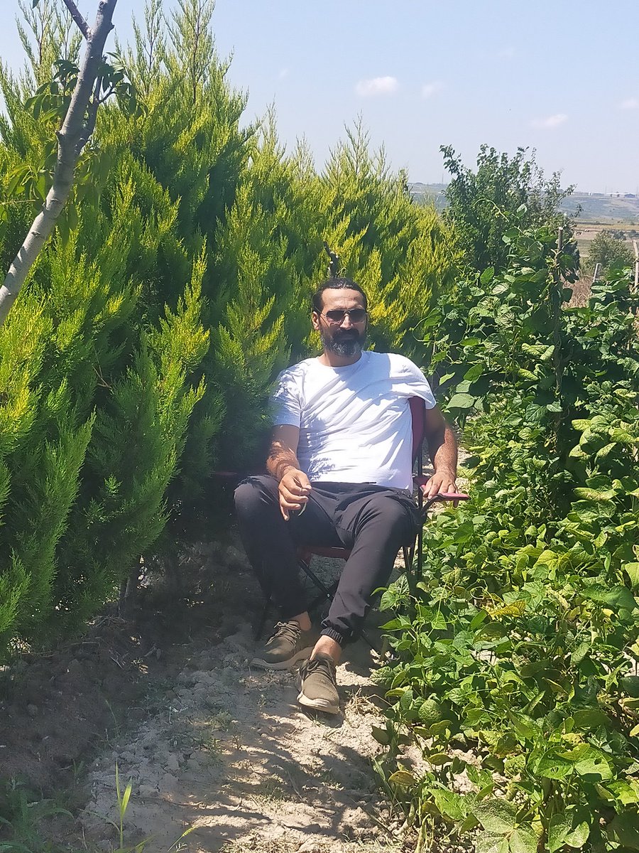 İstanbul'da organik sebze isteyen ulaşsın.