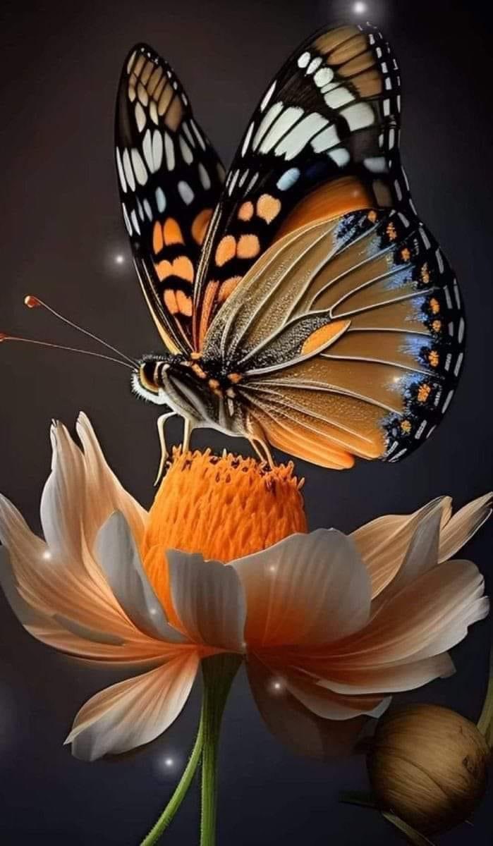 Mutlu Pazar’larımız olsun…🖐️              Gelsin mi iki adet RSI pozitif uyumsuzluğu,var mı KÂR cebe yapmış olan?😀