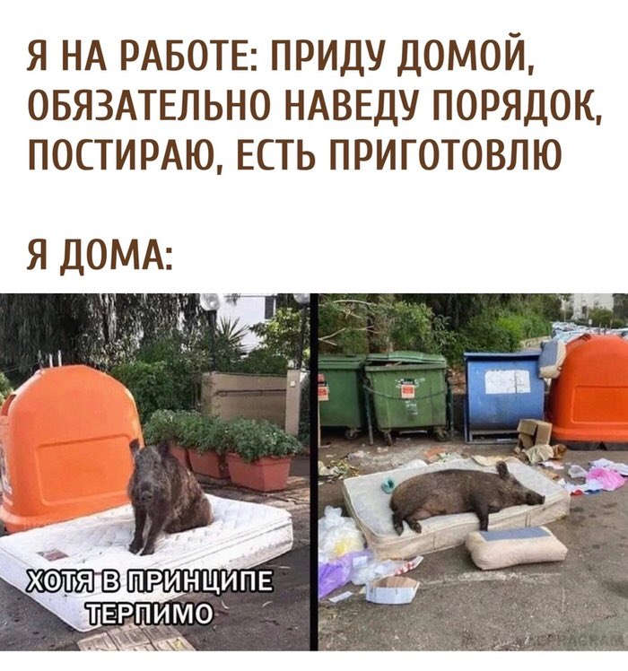 Всегда
