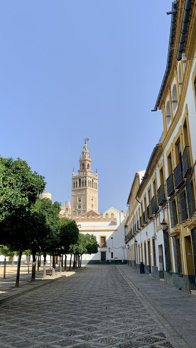 javisntg's tweet photo. ¿De ti quién no se enamora? https://t.co/VGg8LflA8Q