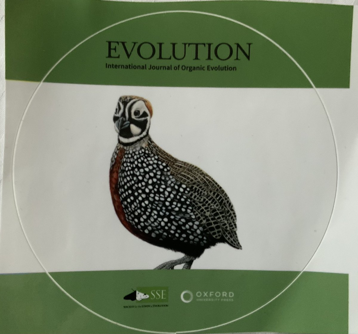 Super excited to see our Montezuma Quail cover on the Evolution and Evolution Letters banner at #Evol2024. Thank you Melinda and <a href="/sse_evolution/">SSE</a> for printing these cute quail stickers. Anyone and everyone who picked up these stickers at the booth, thank you too!! #evolution2024