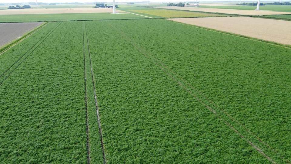 Innovator doet het lekker tot op heden