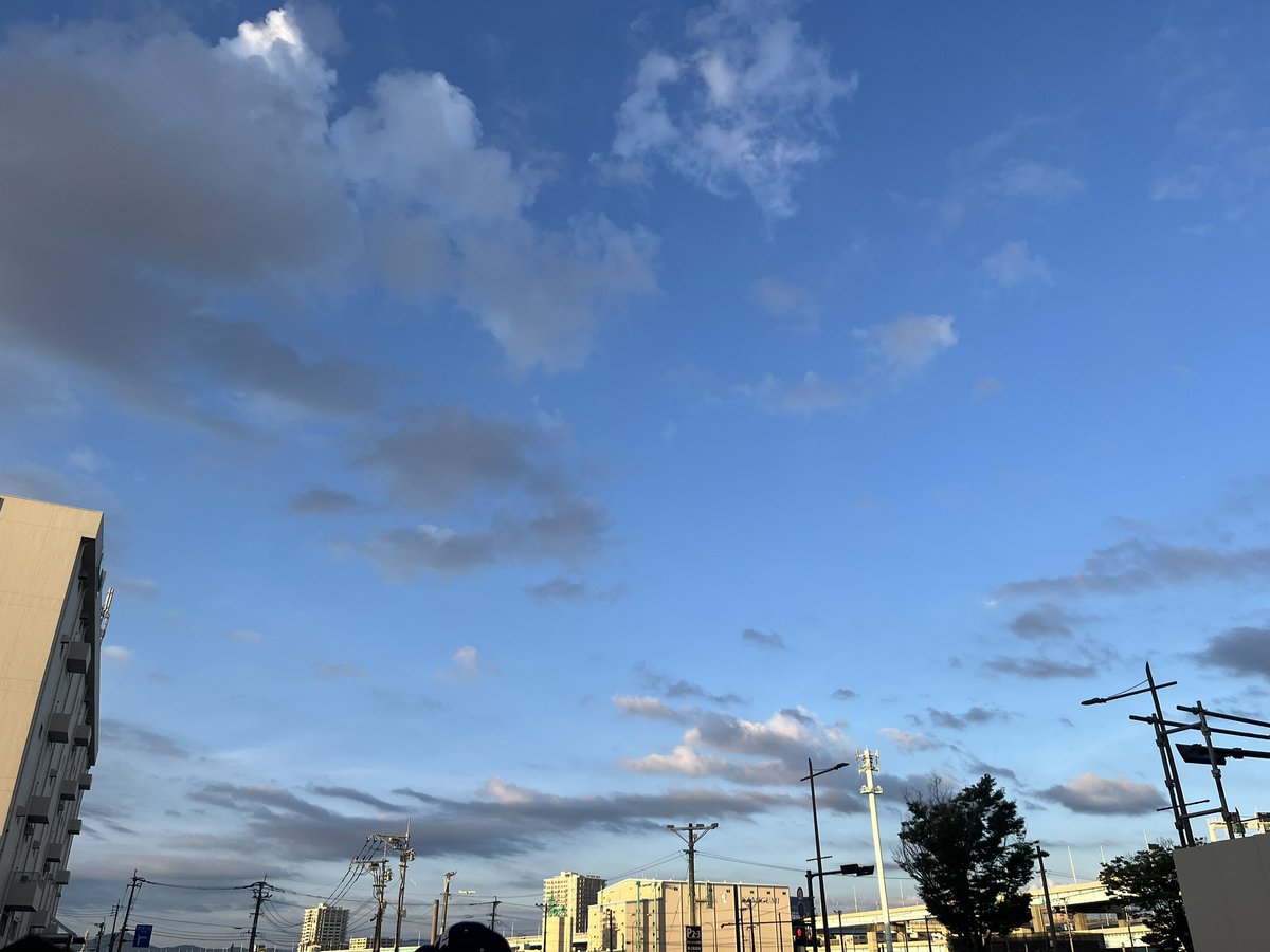 みれ tweet media