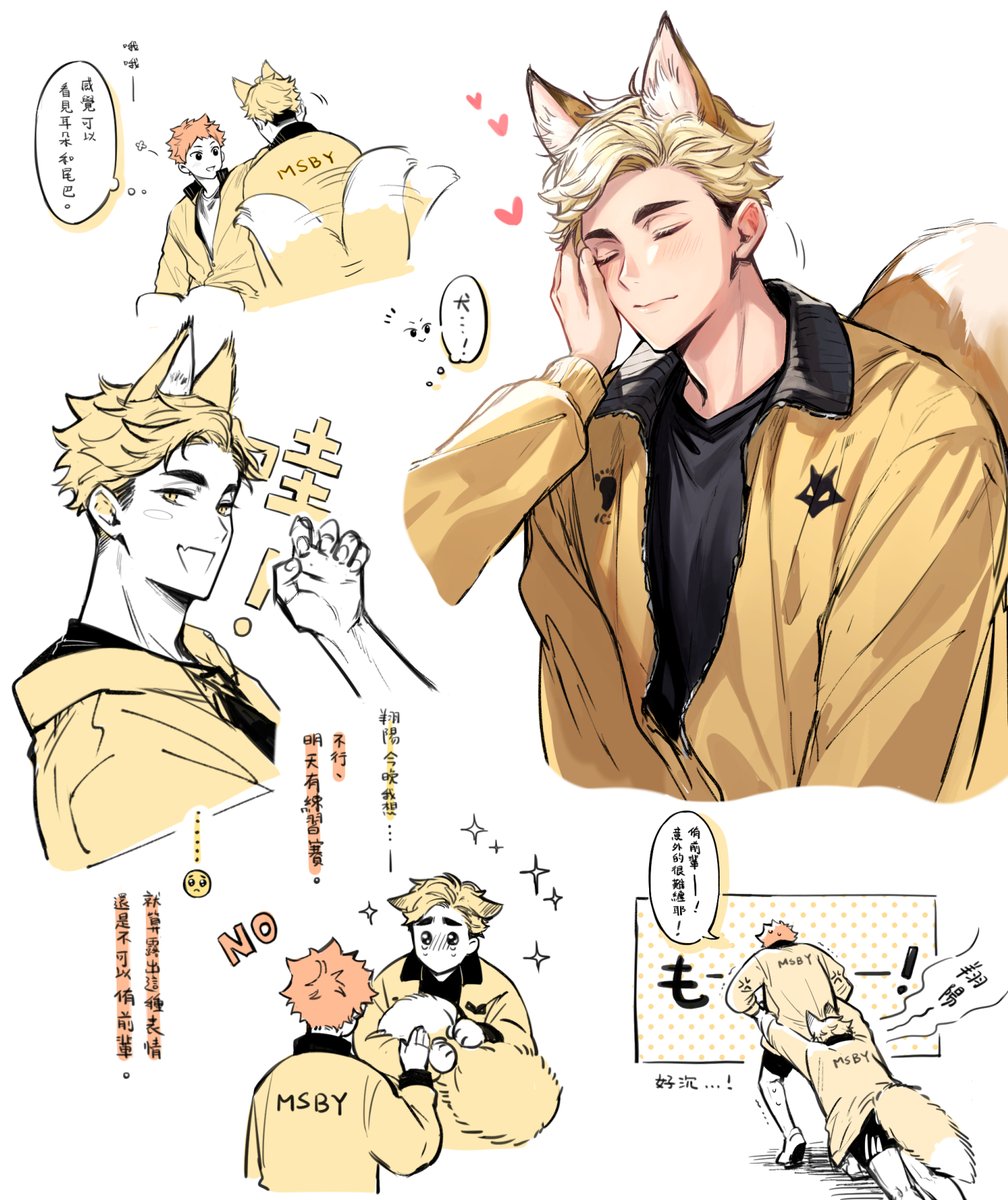 侑日

日向翔陽有時候會覺得狐狸模樣的戀人更像大型犬