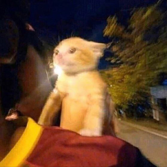 Doritoks0L's tweet photo. @Dior100x $OTW to billion

https://t.co/gDS6fcHjlQ https://t.co/Yxnc3CcCrT
