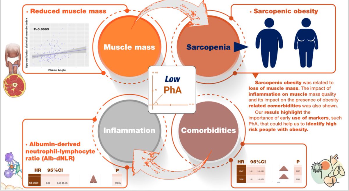 Proud to share our latest research 
In obesity, ⬇️ Phase Angle, 
⬆️inflammation and ⬇️skeletal muscle mass, consequently: ⬆️⬆️impact on obesity-related comorbidities and clinical outcomes.
<a href="/joscarlor2/">Jose Carlos Arevalo</a>
<a href="/interna_chub/">Interna CHU Badajoz</a> 
<a href="/Diabetes_SEMI/">GT-SEMI Diabetes, Obesidad y Nutrición #17DM_SEMI</a>
<a href="/Saludteca/">Saludteca</a> 
 sciencedirect.com/science/articl…