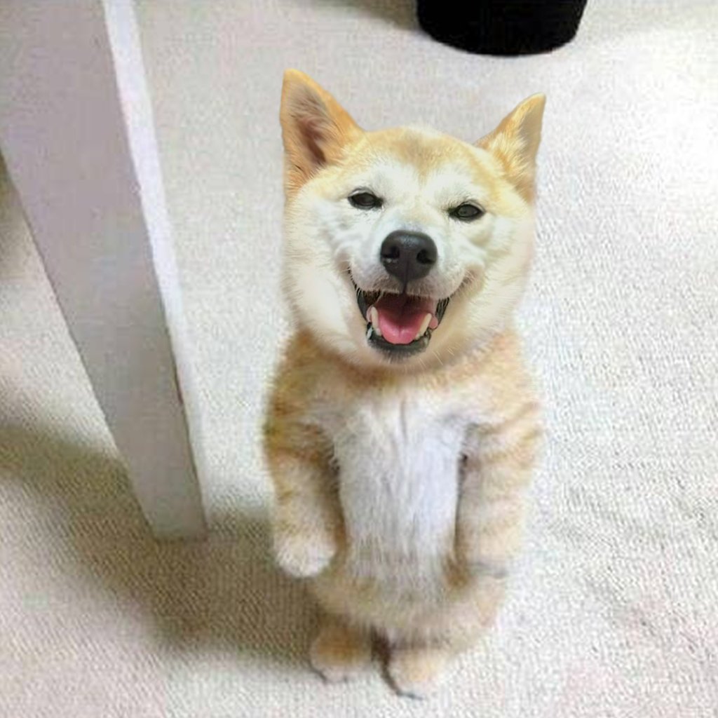 Neirochi - CTO tweet media