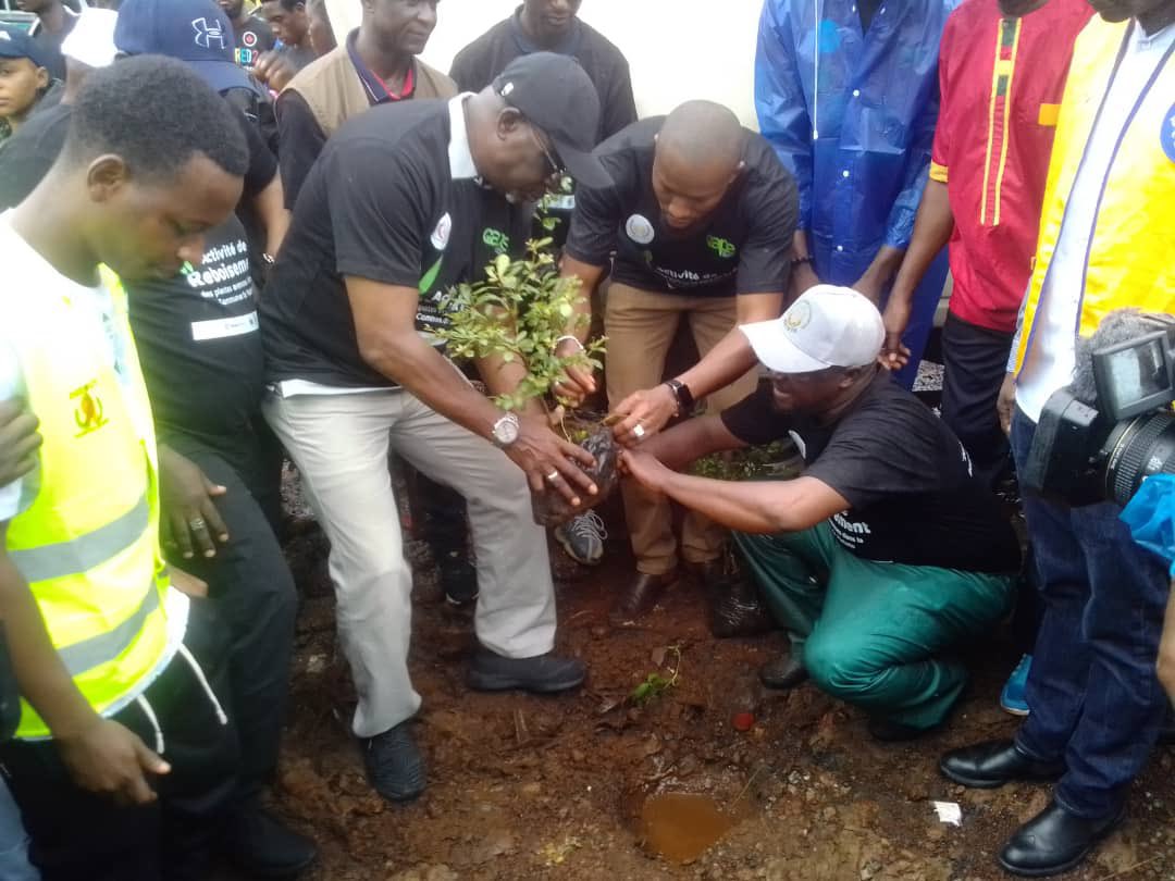 GDD avec son partenaire  l’ONG  Centre d’Appui à la Protection de l’Environnement (CAPE ) dans  la commune Urbaine de Matoto pour un reboisement de 4km  sur l’artère reliant Kendekaya et Kissosso 
      À savoir que 350 plants ont été mis en terre afin d’enjoliver la dite avenue