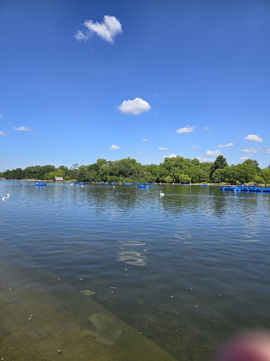 wobblyclark's tweet image. #Sunday #Serpentine 🌞