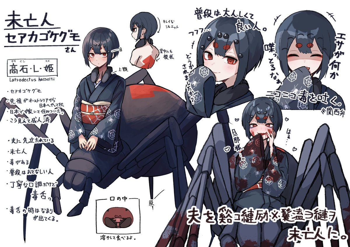 未亡人セアカゴケグモさん