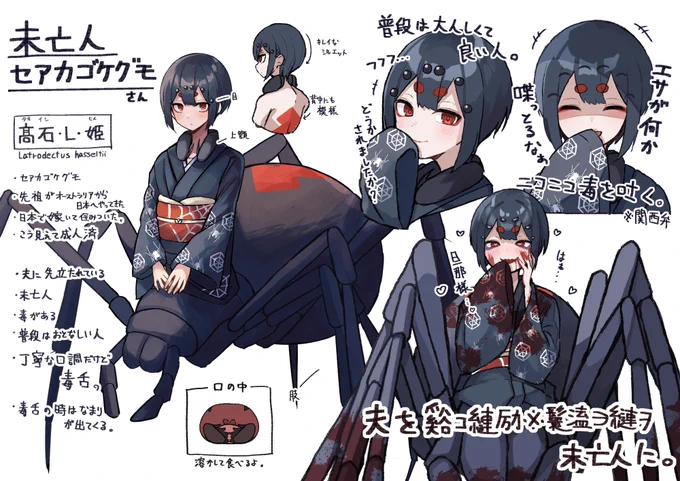 未亡人セアカゴケグモさん