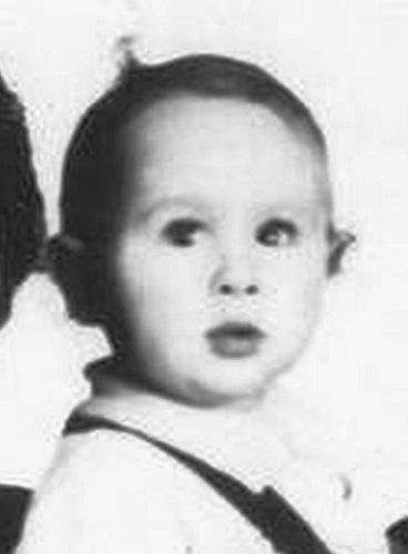 Auschwitz Memorial tweet media