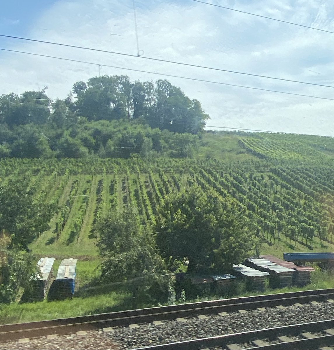 Unterwegs … Weinberge … Baden