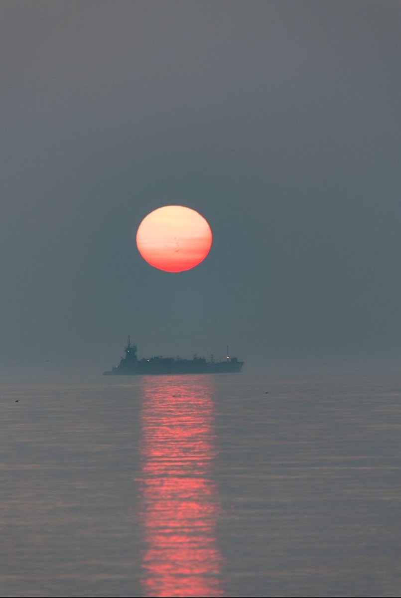 Matt Frank tweet media