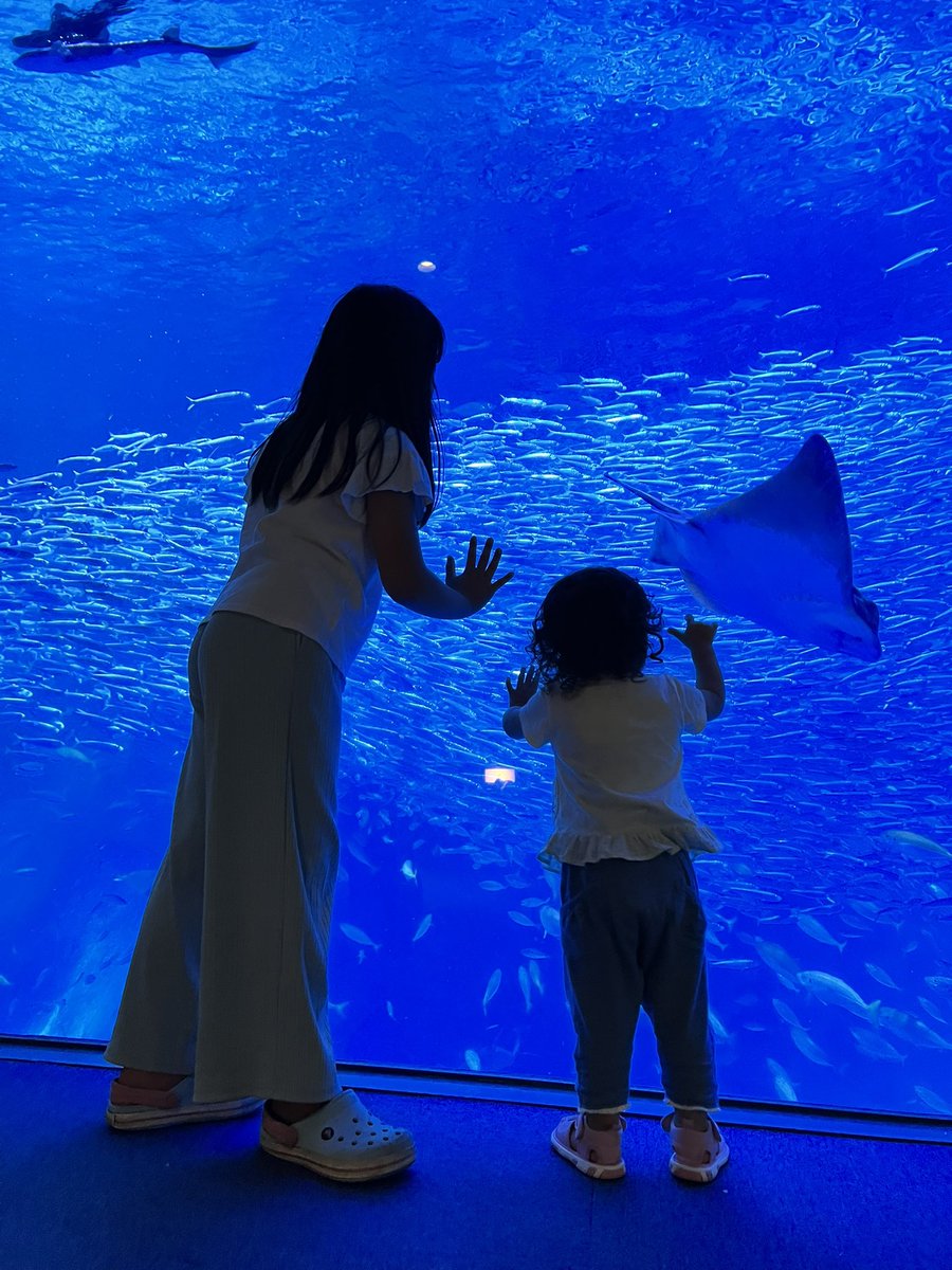 sktymO2I7's tweet image. ※貸切ではないですww